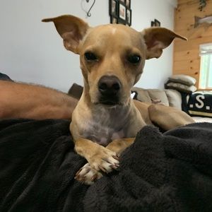 Meet your Posher, Hailey